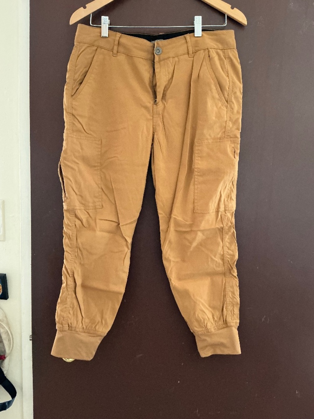 Prana Hiking pants, tan, size 10